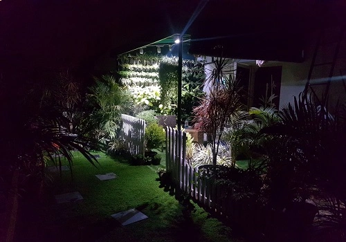 Terrace Garden Services Provider in Noida