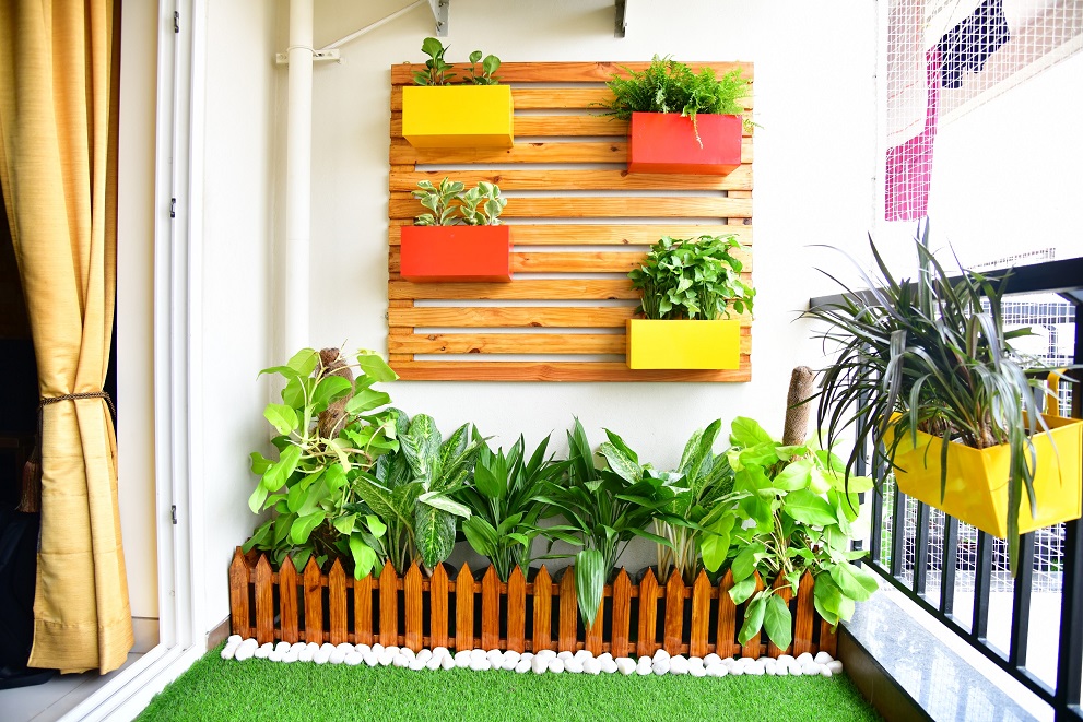 Terrace Garden Services Provider in Noida