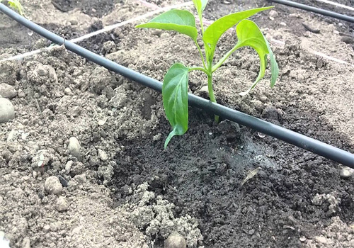 Irrigation Company Ahmedabad, Gandhinagar, Surat, Vadodara, and Sanand