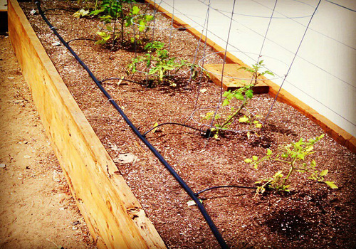 Irrigation Company Ahmedabad, Gandhinagar, Surat, Vadodara, and Sanand