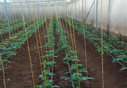 Irrigation Company Ahmedabad, Gandhinagar, Surat, Vadodara, and Sanand