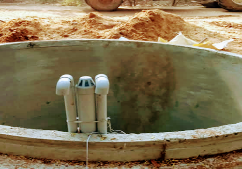 Terrace Garden Services Provider in Noida