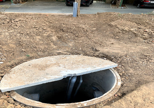 Terrace Garden Services Provider in Noida