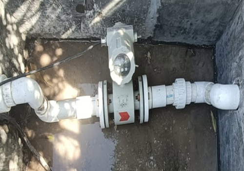 Terrace Garden Services Provider in Noida