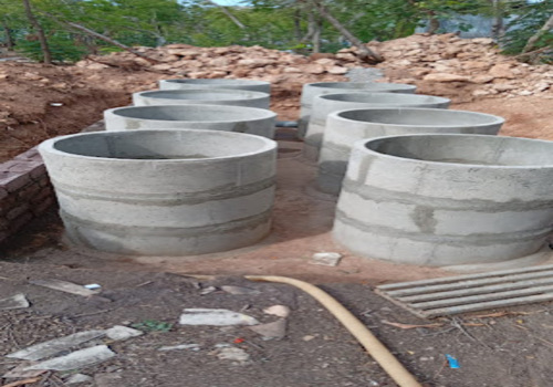 Terrace Garden Services Provider in Noida