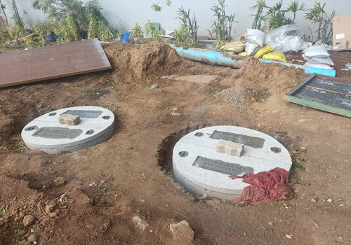 Terrace Garden Services Provider in Noida