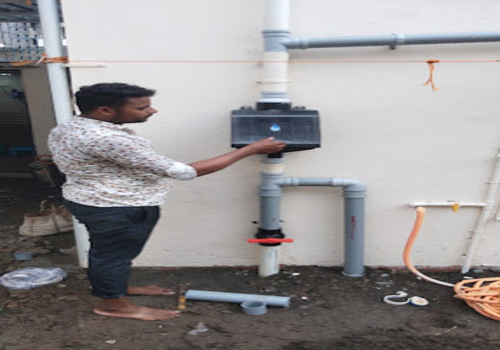 Terrace Garden Services Provider in Noida