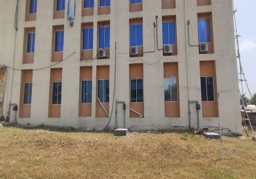 Terrace Garden Services Provider in Noida