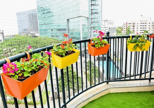 Terrace Garden Services Provider in Noida