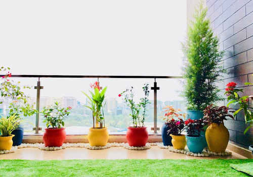 Terrace Garden Services Provider in Noida
