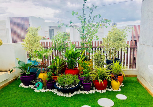 Terrace Garden Services Provider in Noida