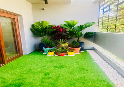 Terrace Garden Services Provider in Noida