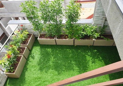 Terrace Garden Services Provider in Noida
