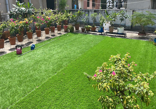 Terrace Garden Services Provider in Noida